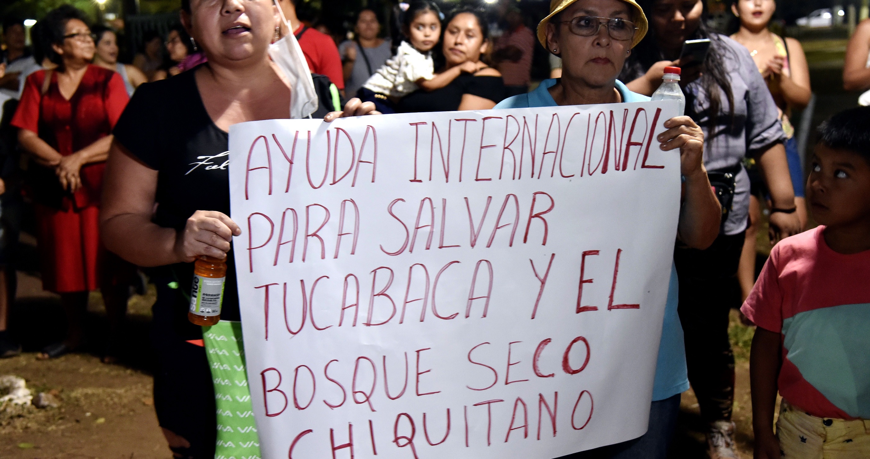 The New Land Deal That Is Threatening One Of Bolivia's Forests And It's Ecosystems
