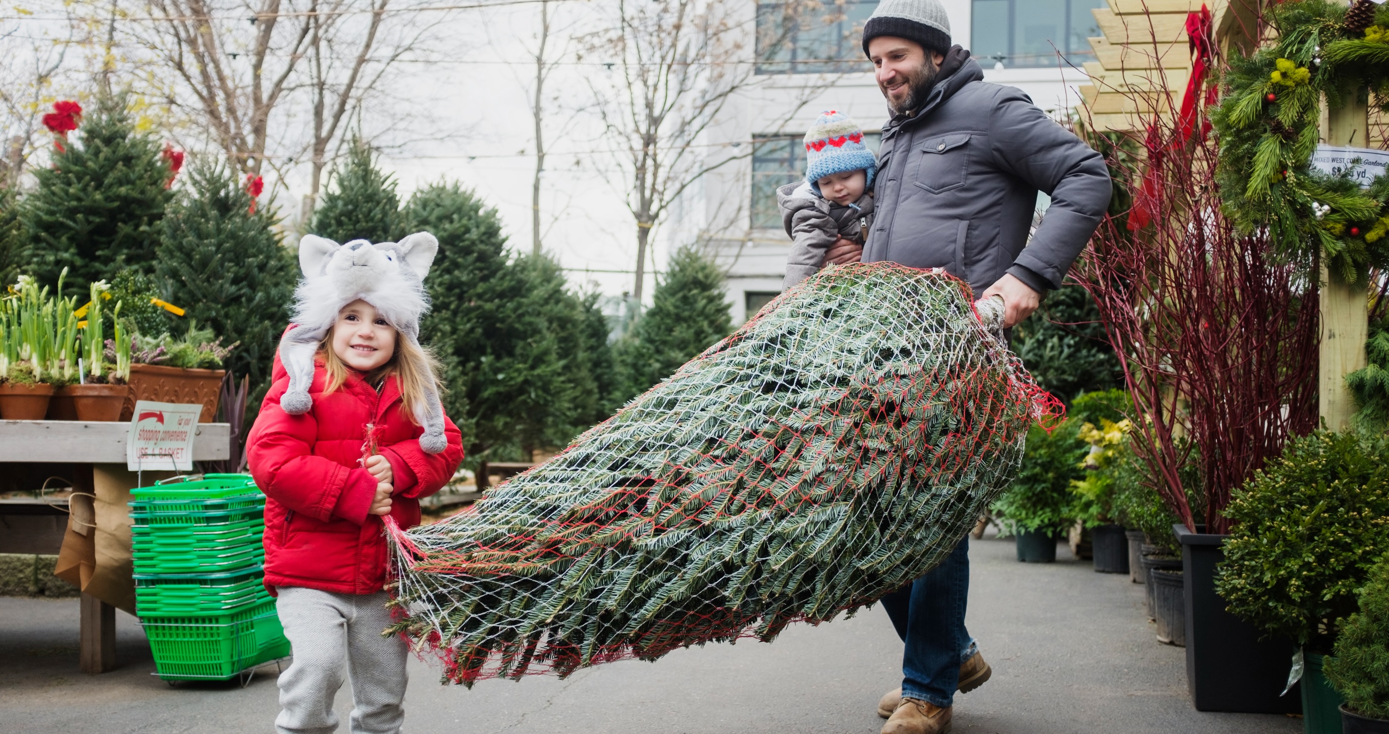 A Behind The Scenes Look At NYC's Cutthroat Christmas Tree Sellers