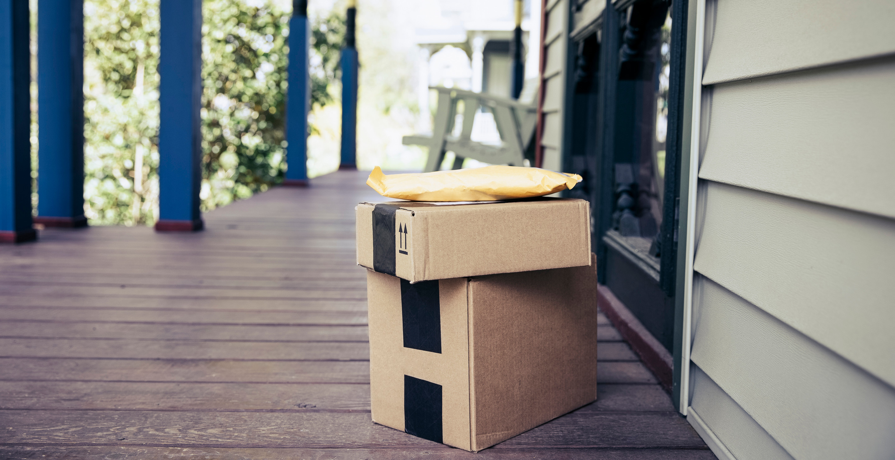 Dog Loses Leg After Porch Pirates Leave Gate Open While Stealing Packages