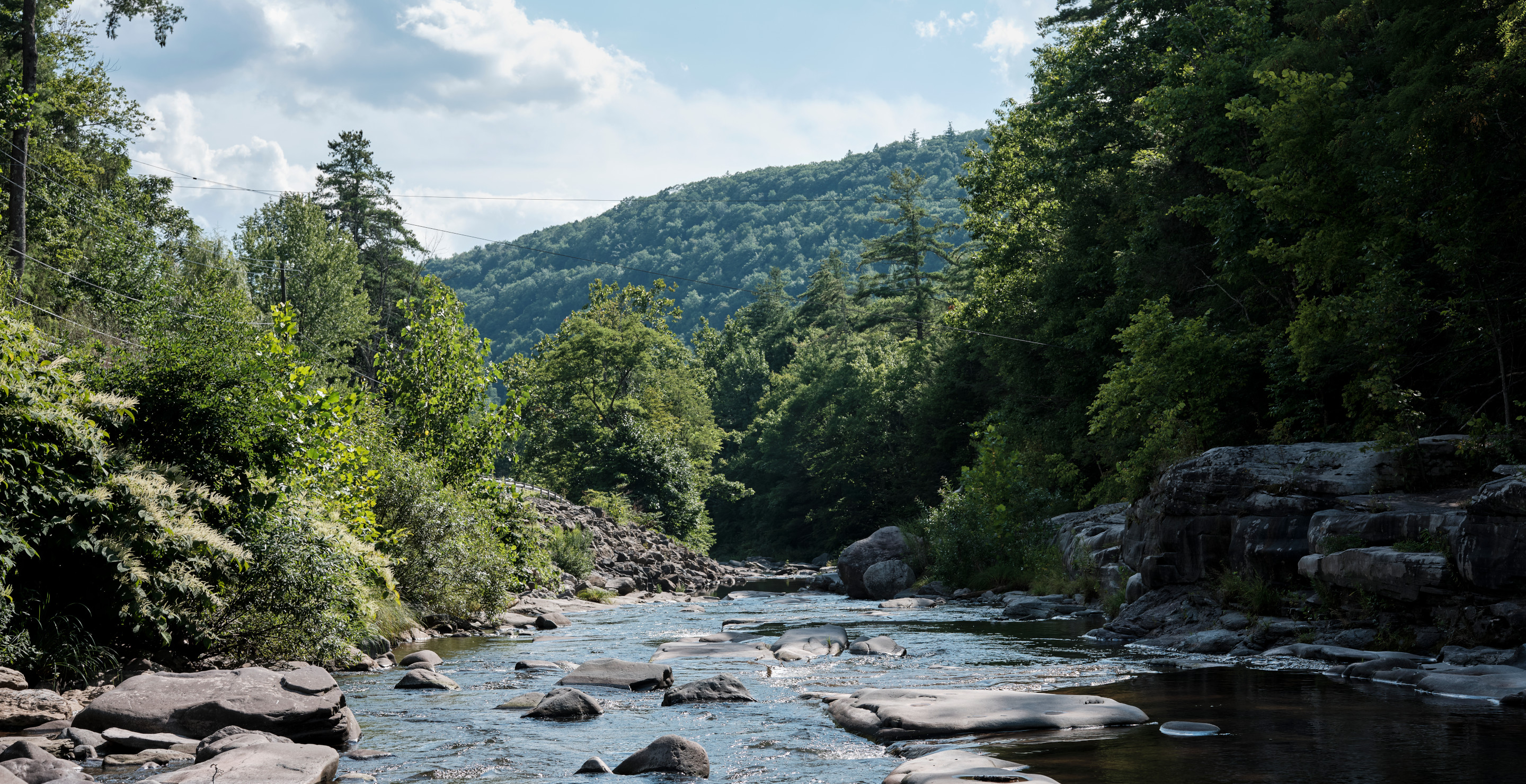Fire Commissioner Dies While Rescuing hiker From Catskill Mountains