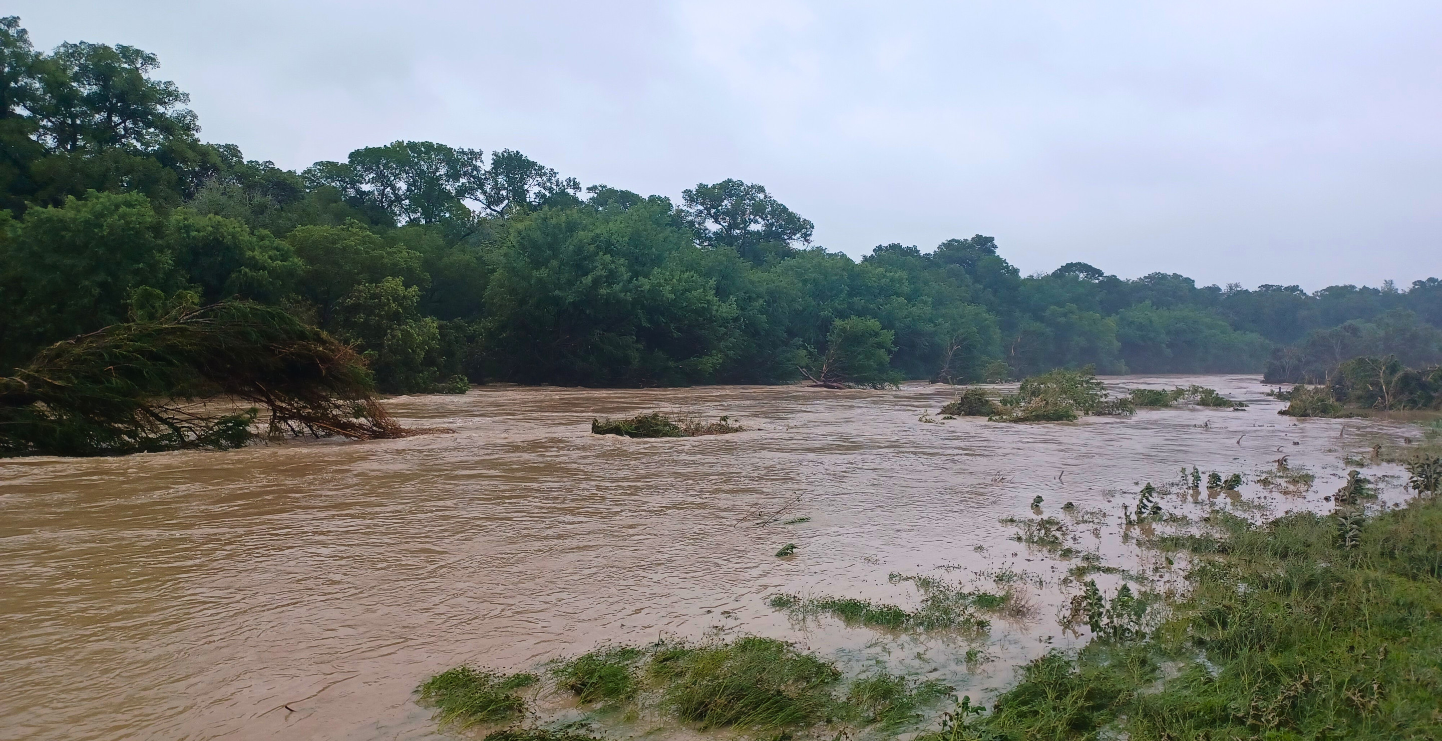 New Details Surface In Death Of Texas Man Who Clung To Tree During Horrific Flooding