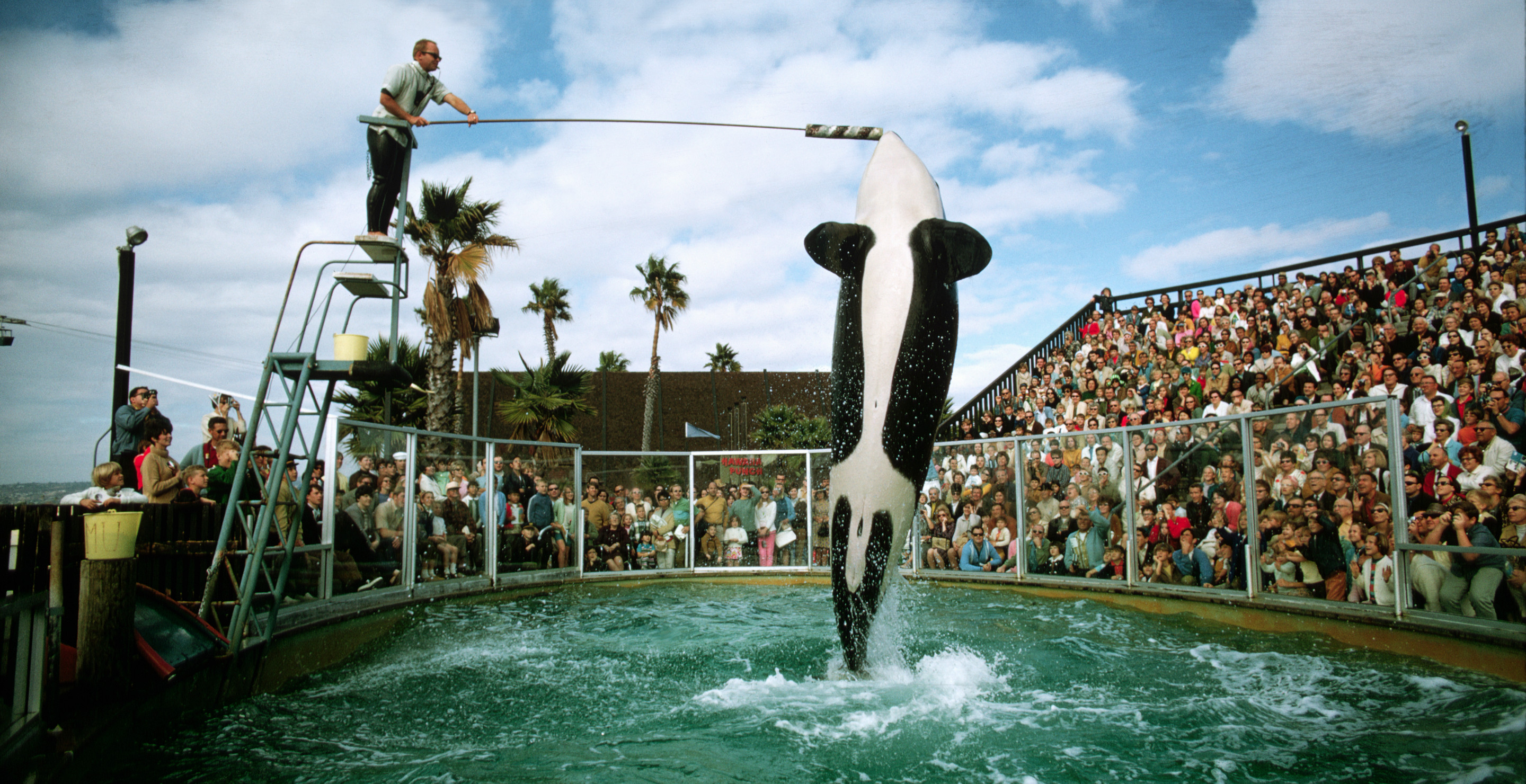 SeaWorld Icon Passes Away At Age 50