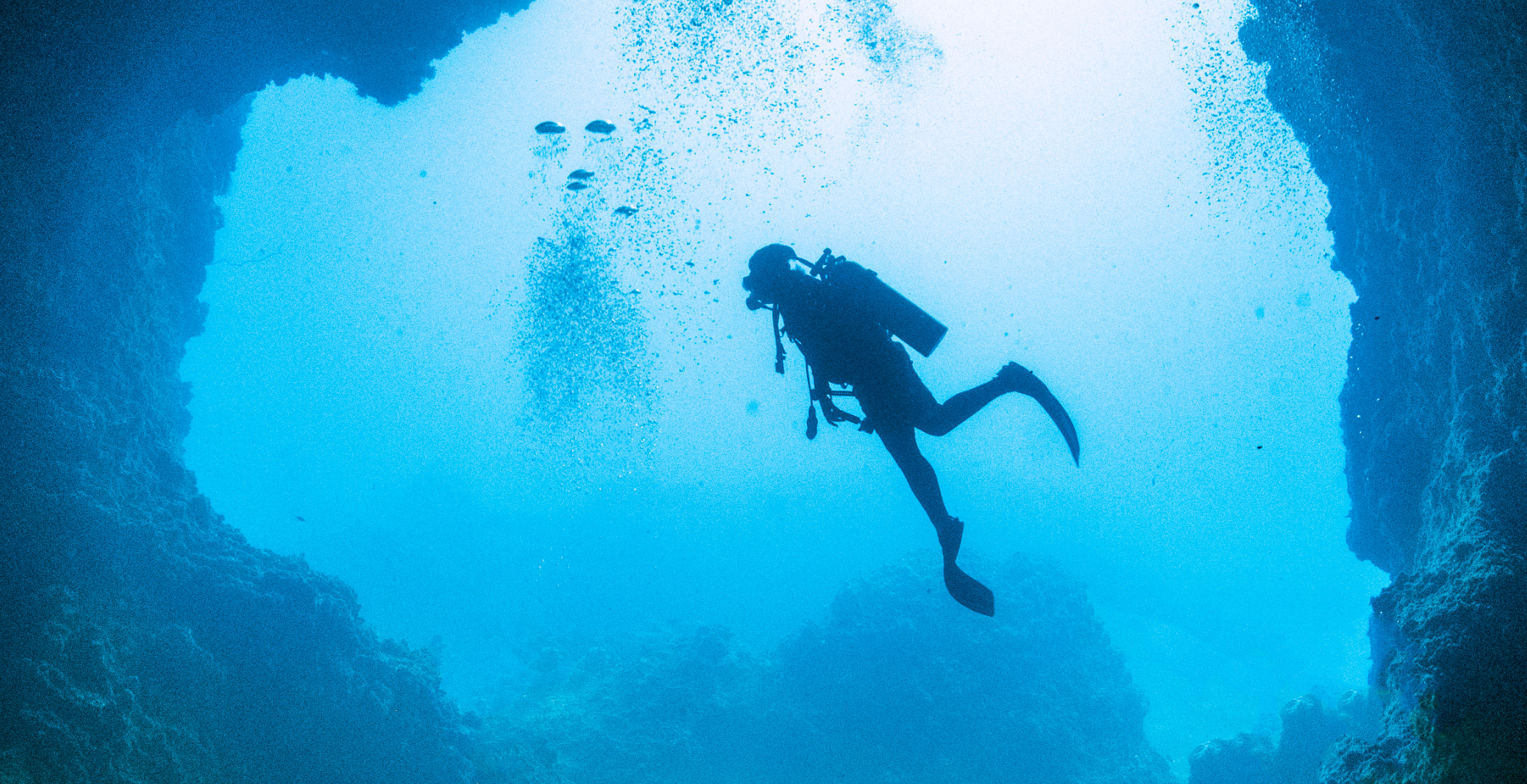Tourist Dies After Having 'Panic Attack' While Scuba Diving