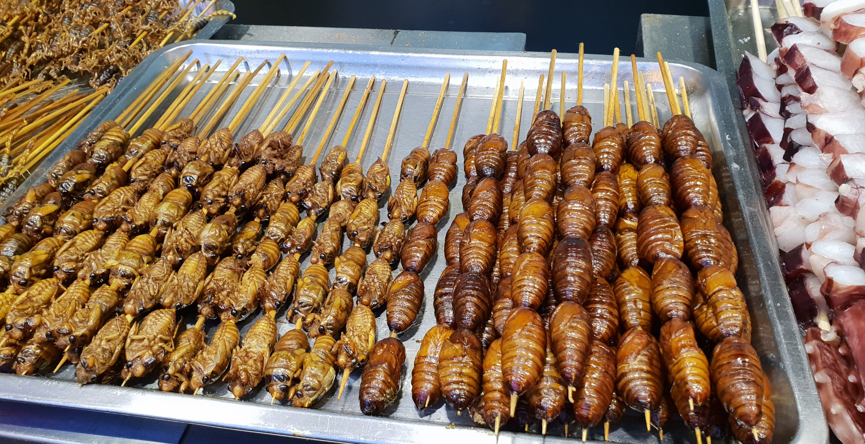 26-Year-Old Addicted To Eating Bugs, Eats More Than 100 A Day