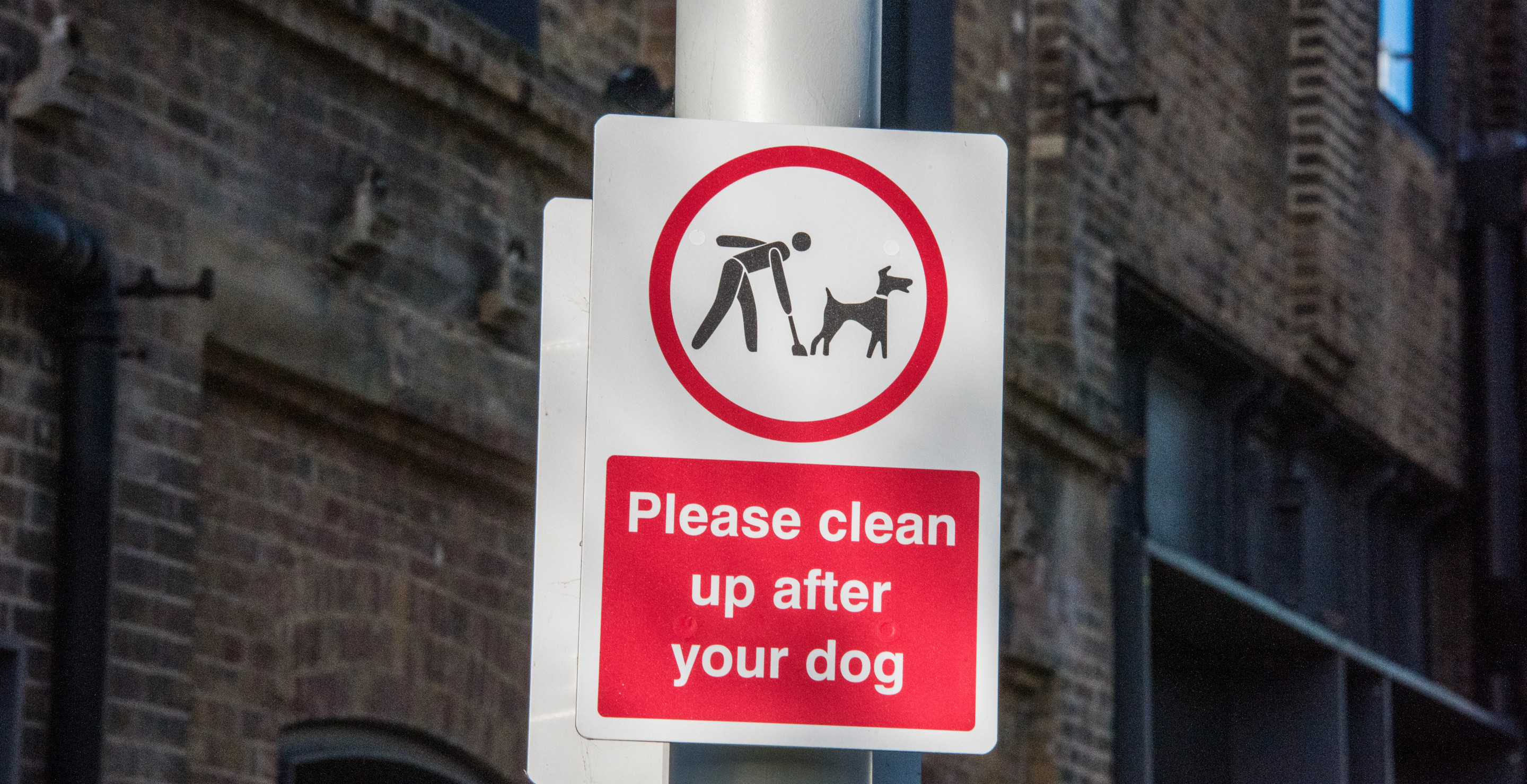 Apartment Complex Conducts DNA Testing To See Who Keeps Leaving Dog Poop On Property