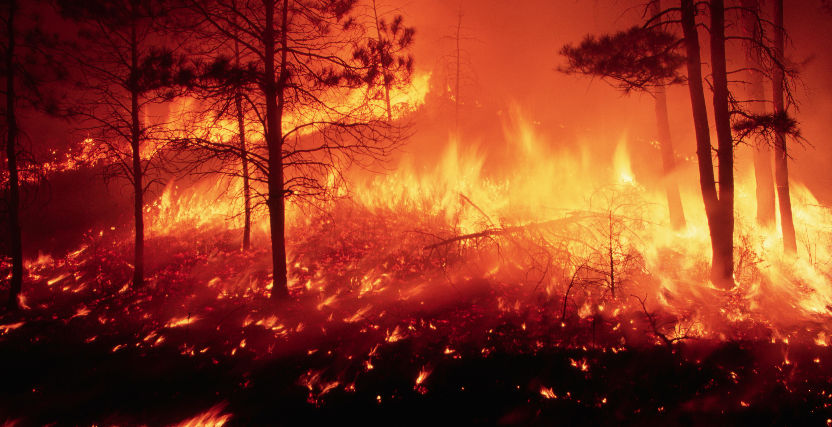 Family Demands Answers After Teen Dies In Large Brush Fire