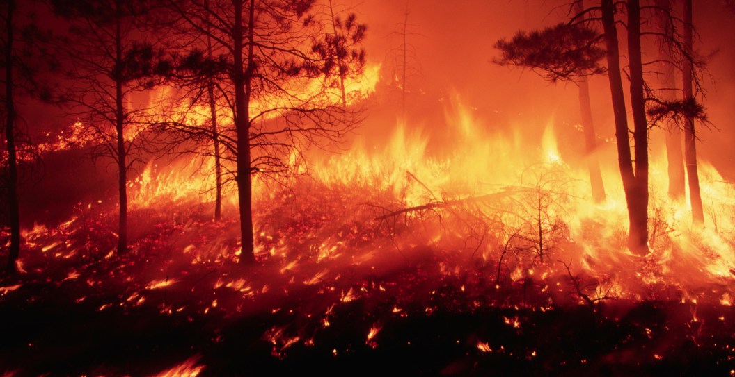 Family Demands Answers After Teen Dies In Large Brush Fire