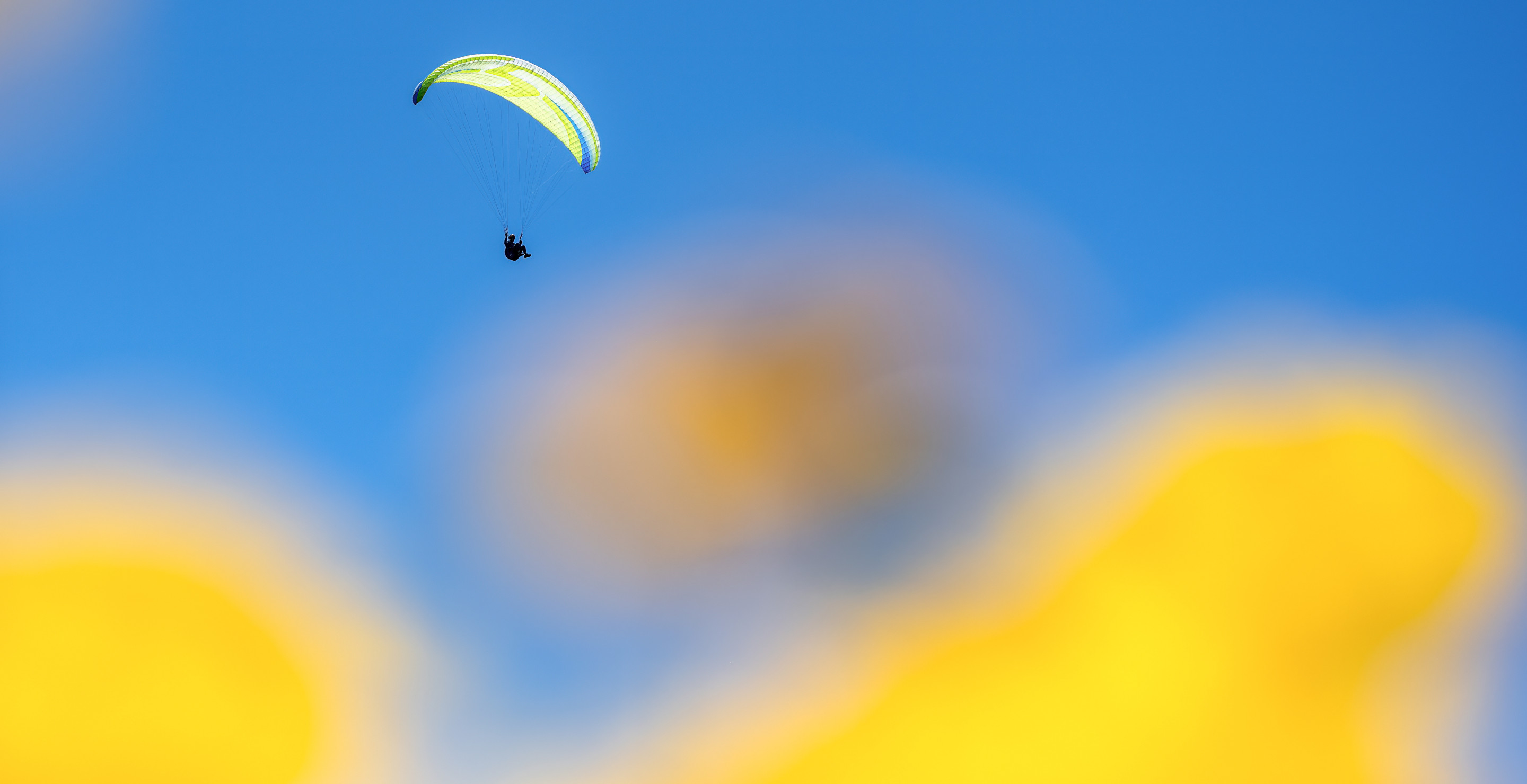 Paraglider Survives Falling More Than 500 Feet From The Sky