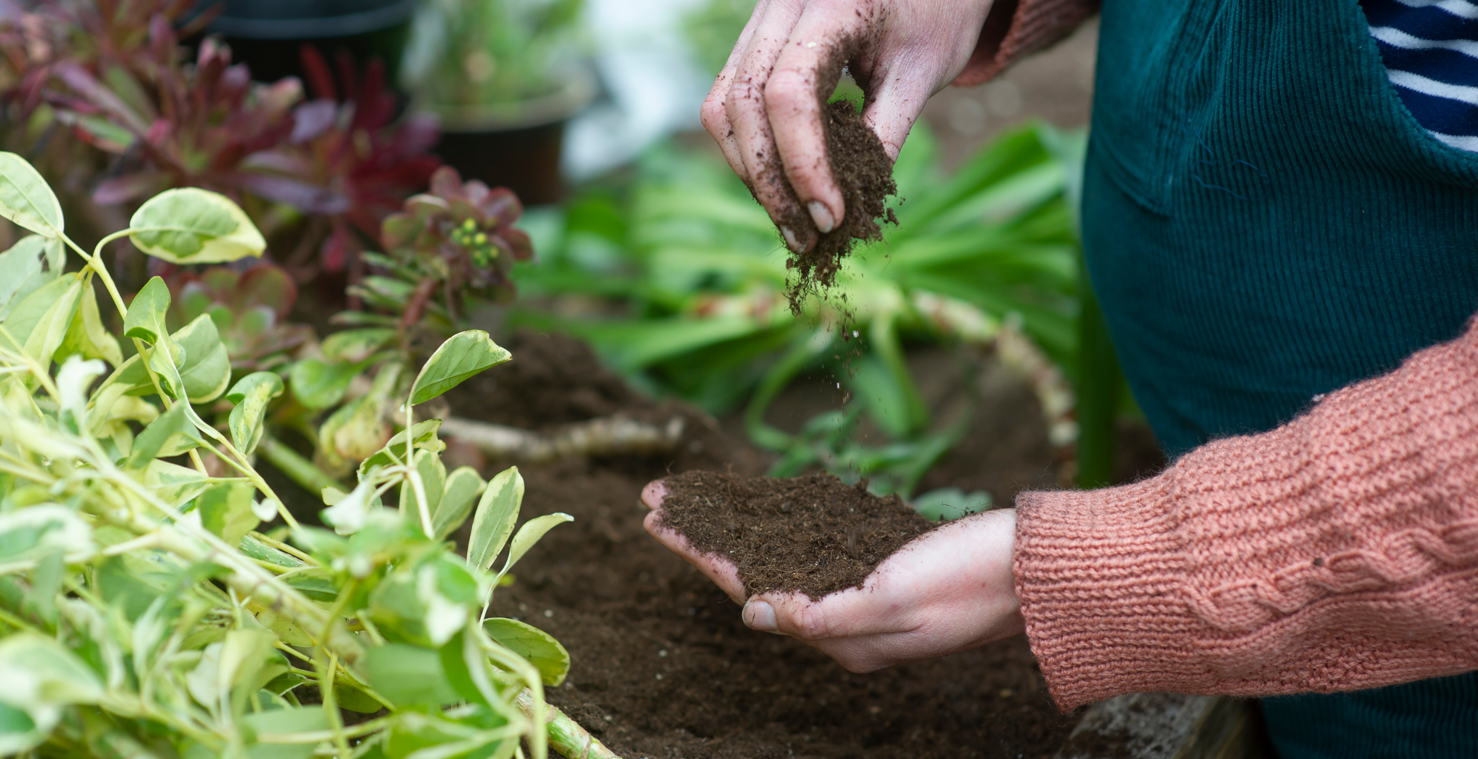 Rock Icon Suffers Bizarre Gardening Accident