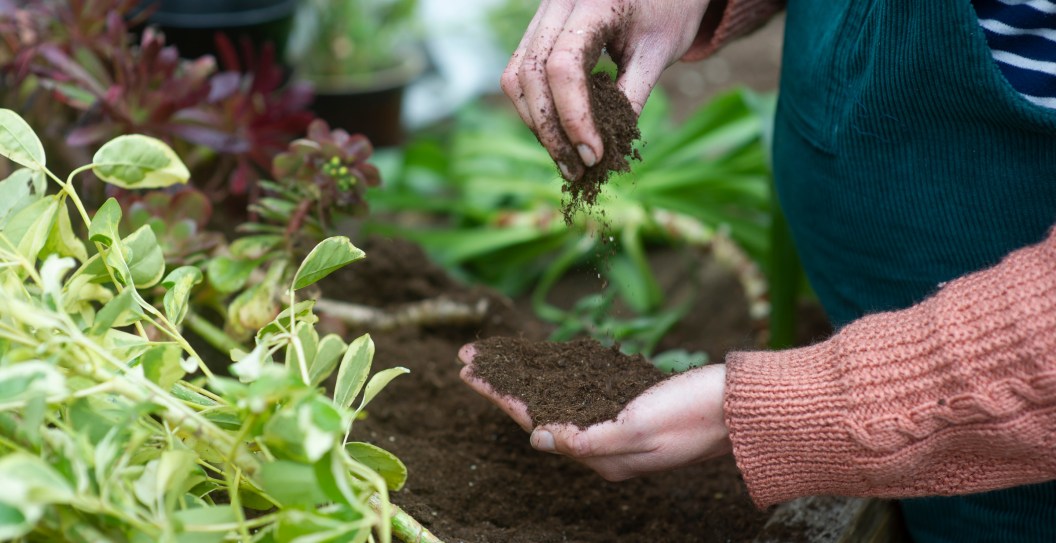 Rock Icon Suffers Bizarre Gardening Accident