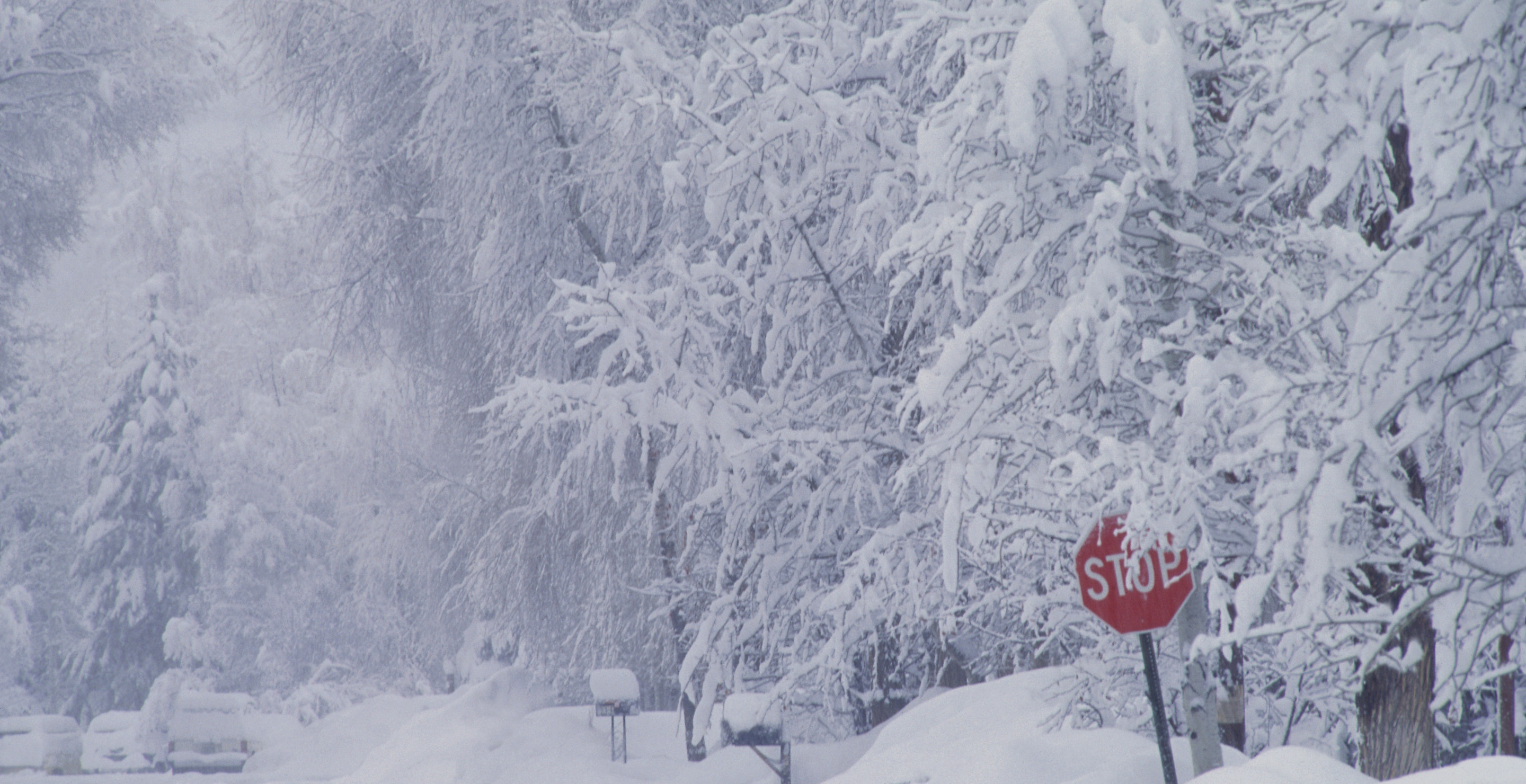 Several States Declare State Of Emergency As Potentially Historic Winter Storm Approaches