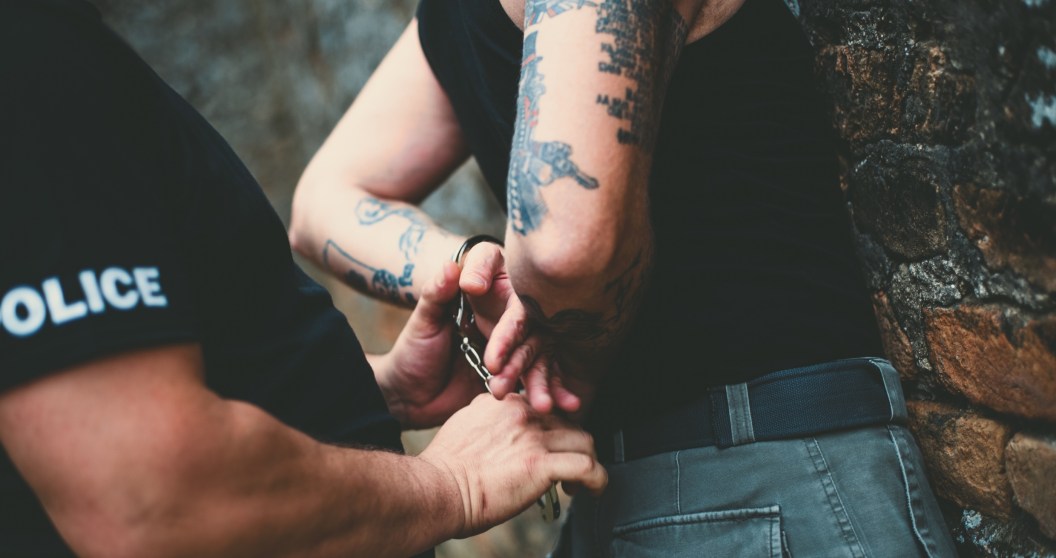Australian Authorities Arrest A Man For Alleged Exotic Animal Farming During A Drug Raid