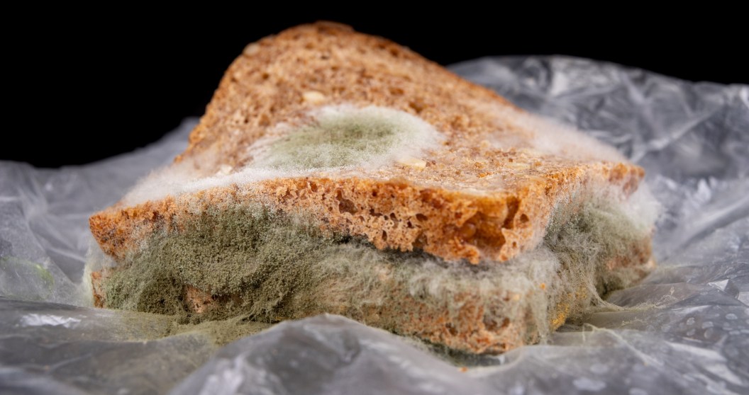 Furious Passenger Rages About Worst Meal Ever Served On A Flight