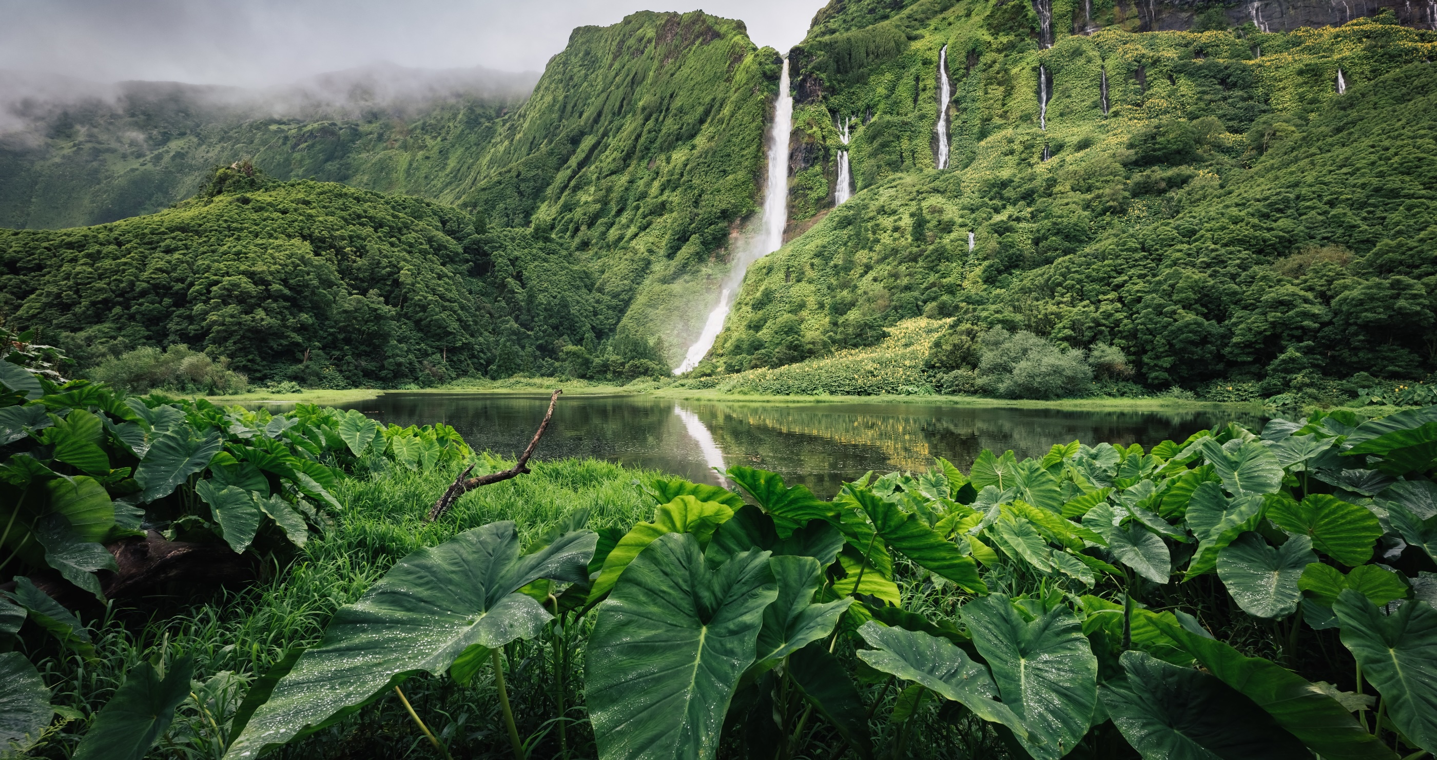 How Costa Rica Fought Back Against The World's Diminishing Rainforests