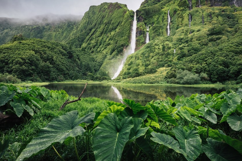 How Costa Rica Fought Back Against The World's Diminishing Rainforests