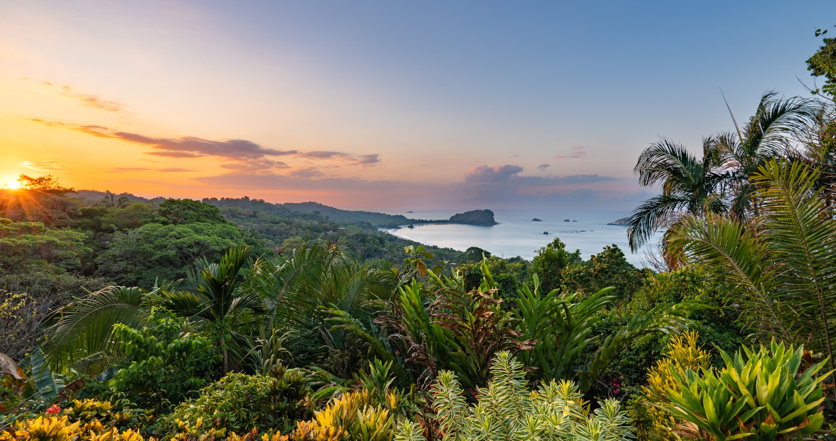 How Costa Rica Fought Back Against The World's Diminishing Rainforests