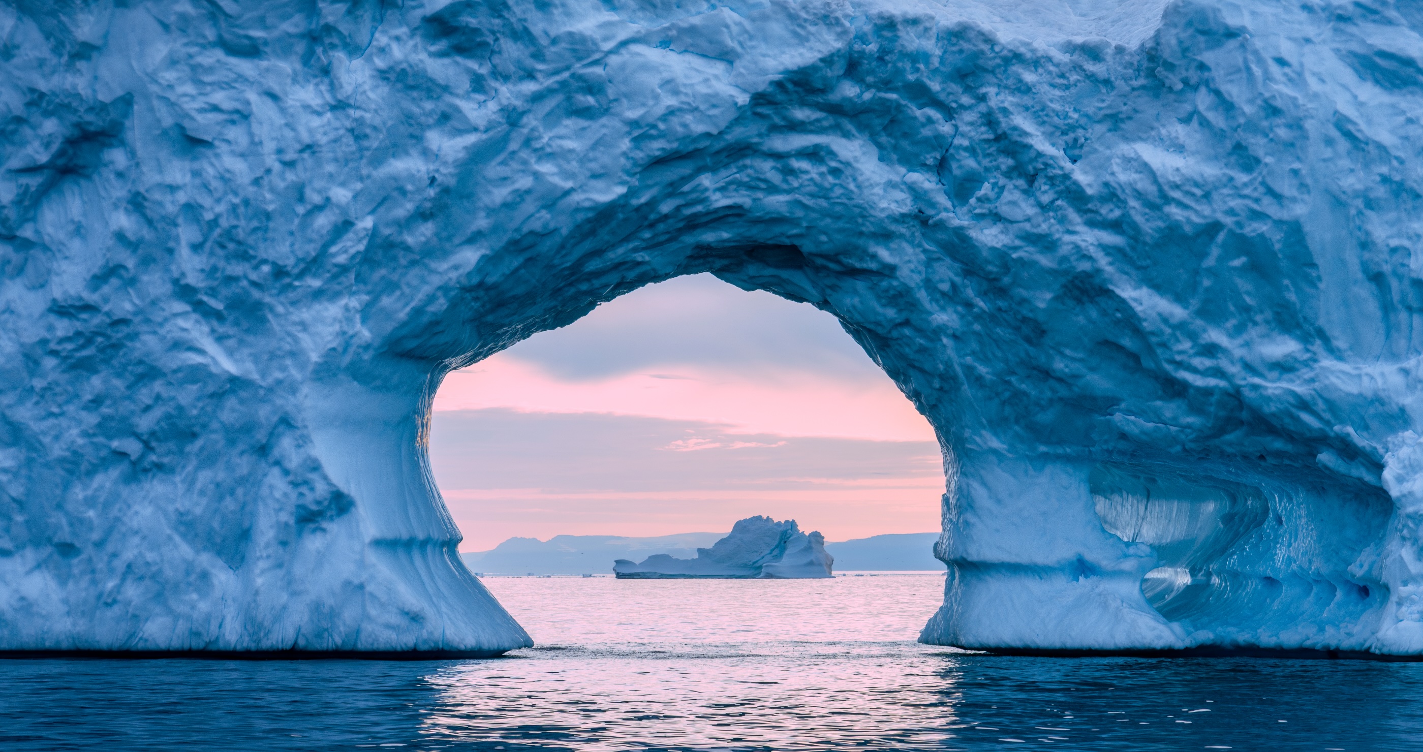 In A Surprising Twist Scientists Link Orcas To Rapid Ice Melting In Greenland