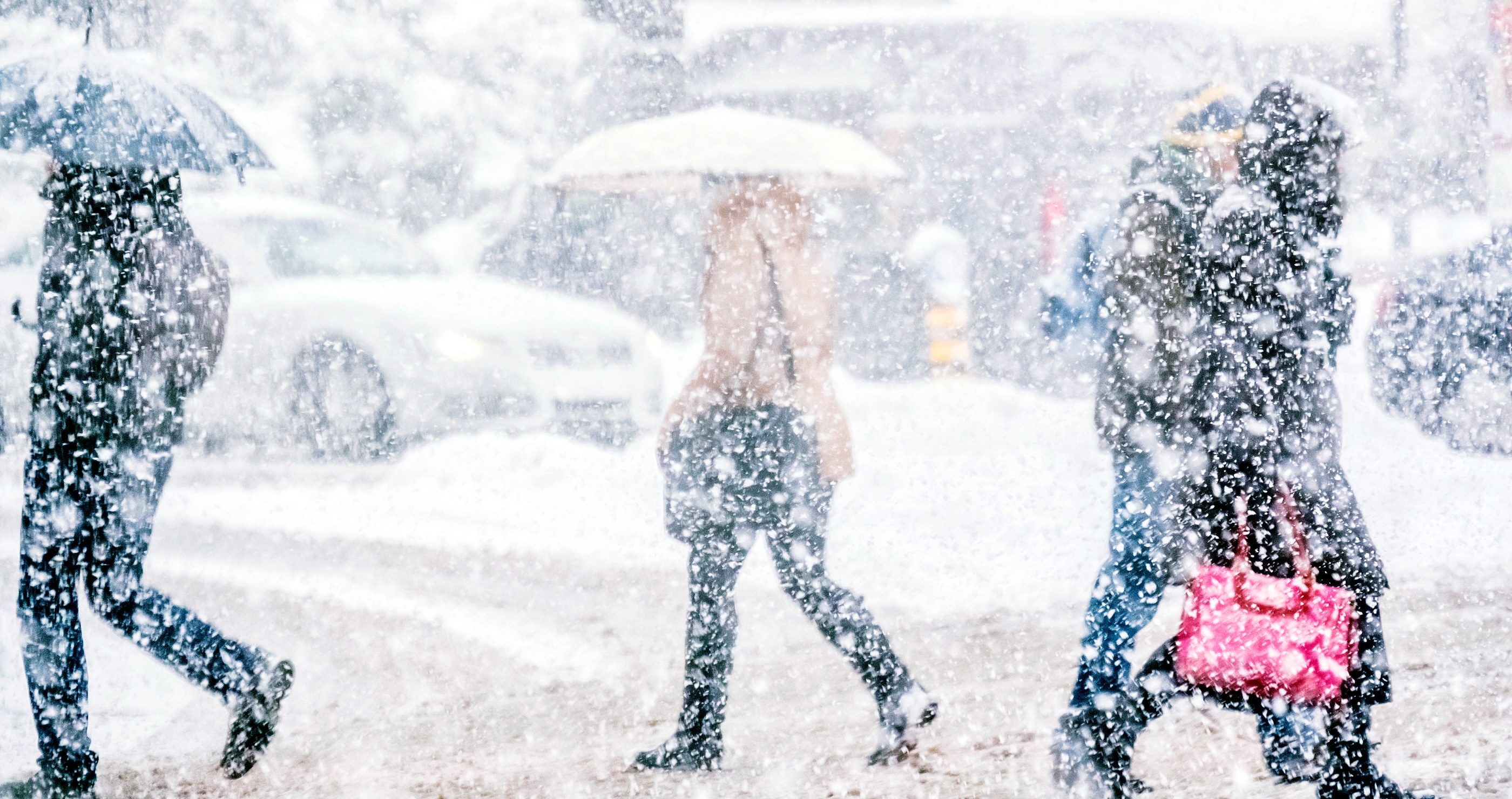 New Jersey Suffers Massive Power Outages As Insane Blizzard Slams The State