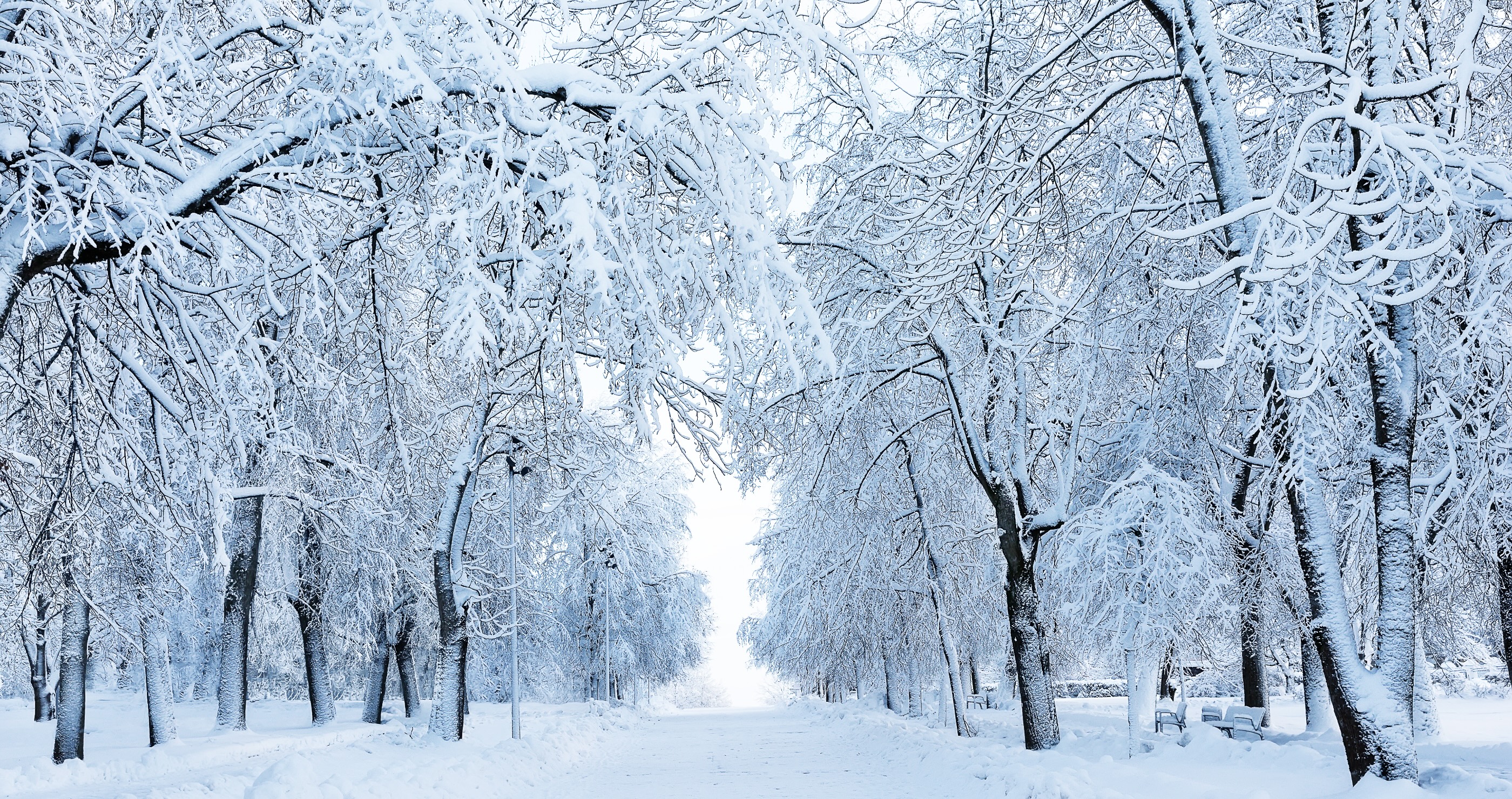 New Jersey Suffers Massive Power Outages As Insane Blizzard Slams The State