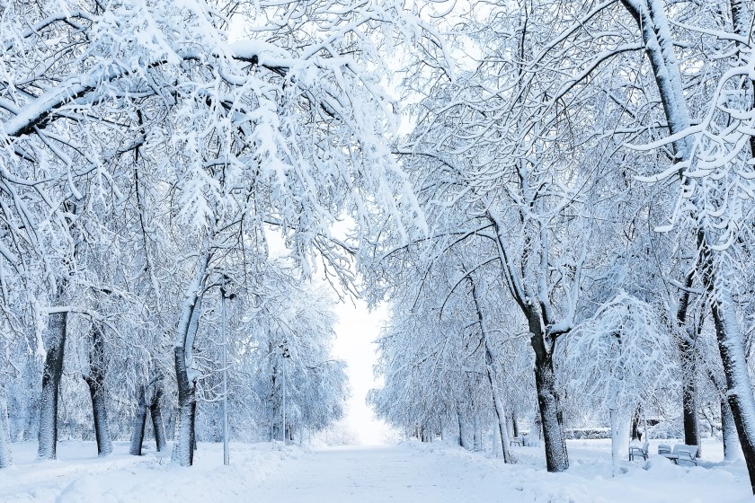 New Jersey Suffers Massive Power Outages As Insane Blizzard Slams The State