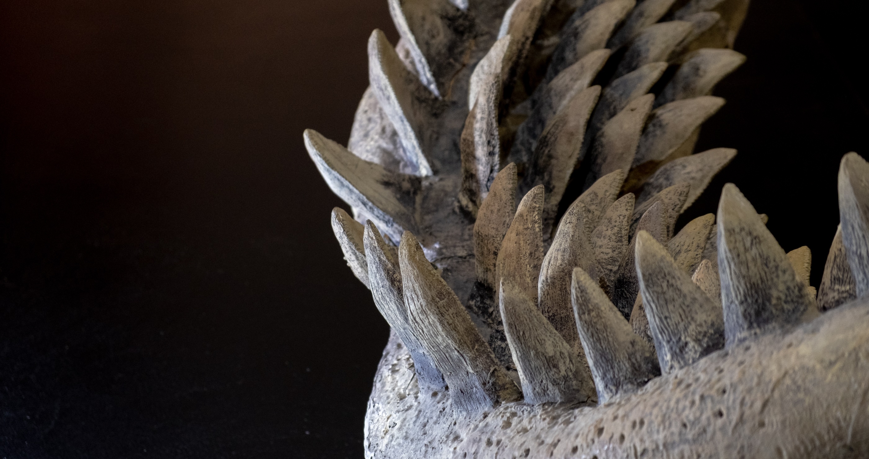 Scientists Discovered Two Extinct Predators In The World's Longest Cave