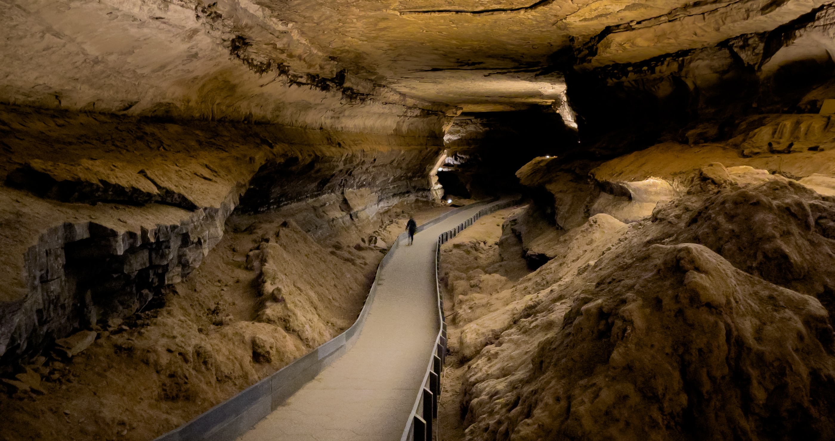 Scientists Discovered Two Extinct Predators In The World's Longest Cave