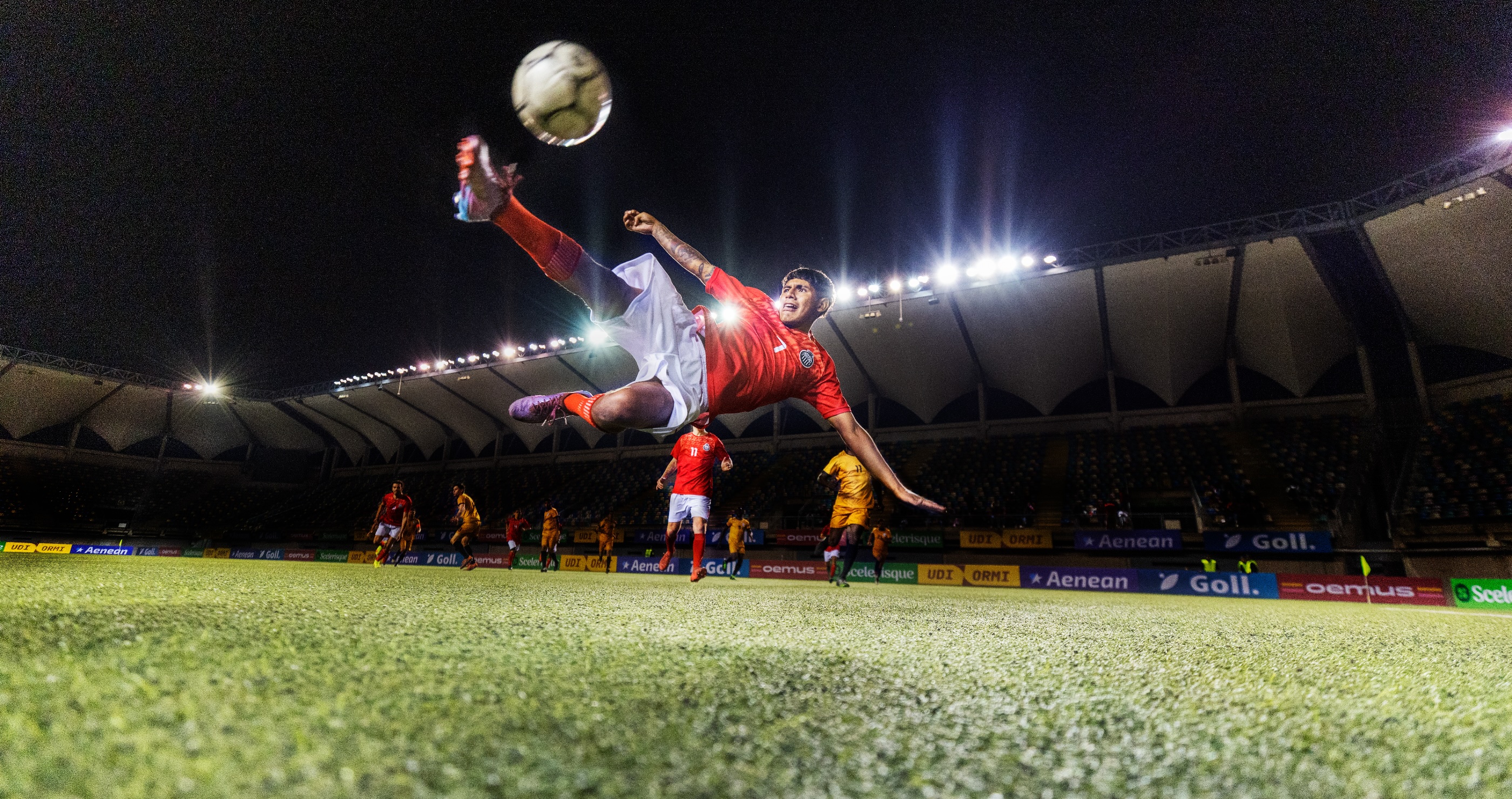 Soccer Match In Turkey Turns Interesting When A Soccer Player Uses CPR To Revive A Seagull