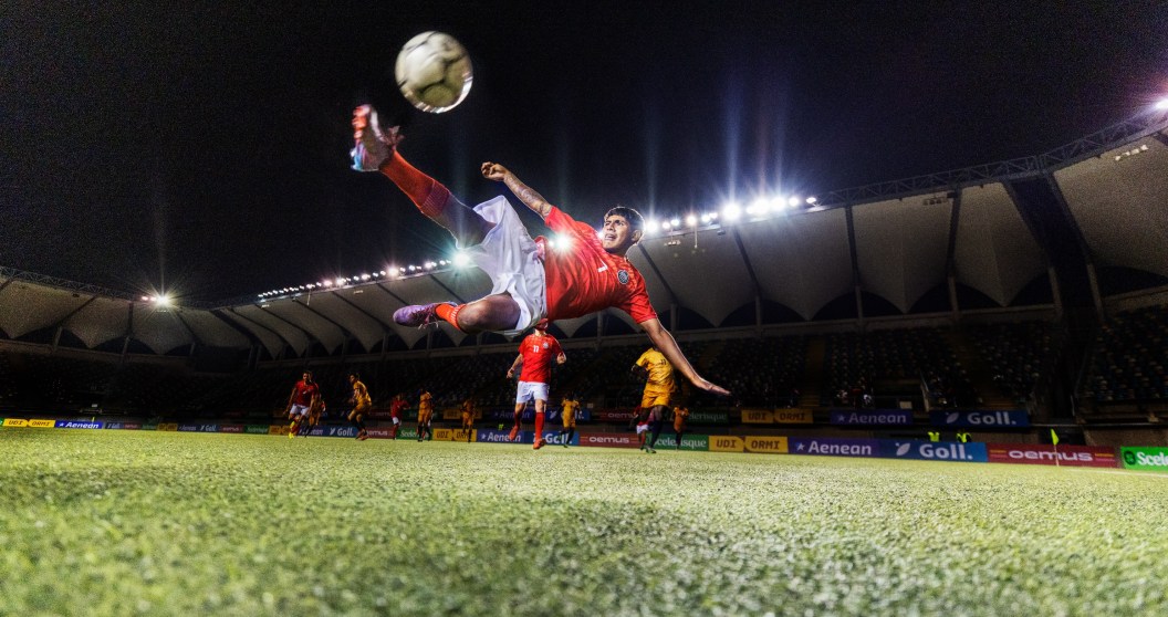 Soccer Match In Turkey Turns Interesting When A Soccer Player Uses CPR To Revive A Seagull