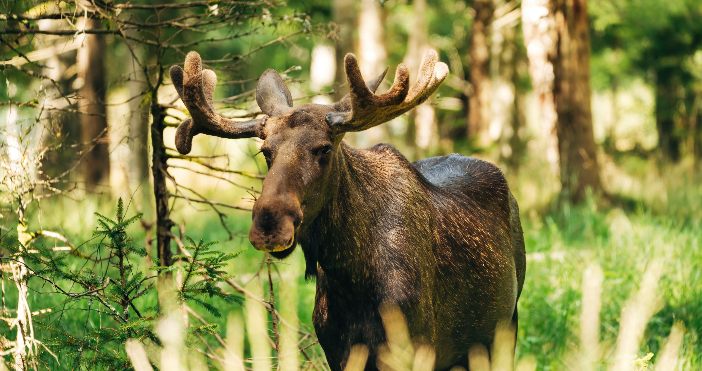 A Hunter Shares How How He And His Guide Were Trapped In The Canadian Wilderness For 10 Days
