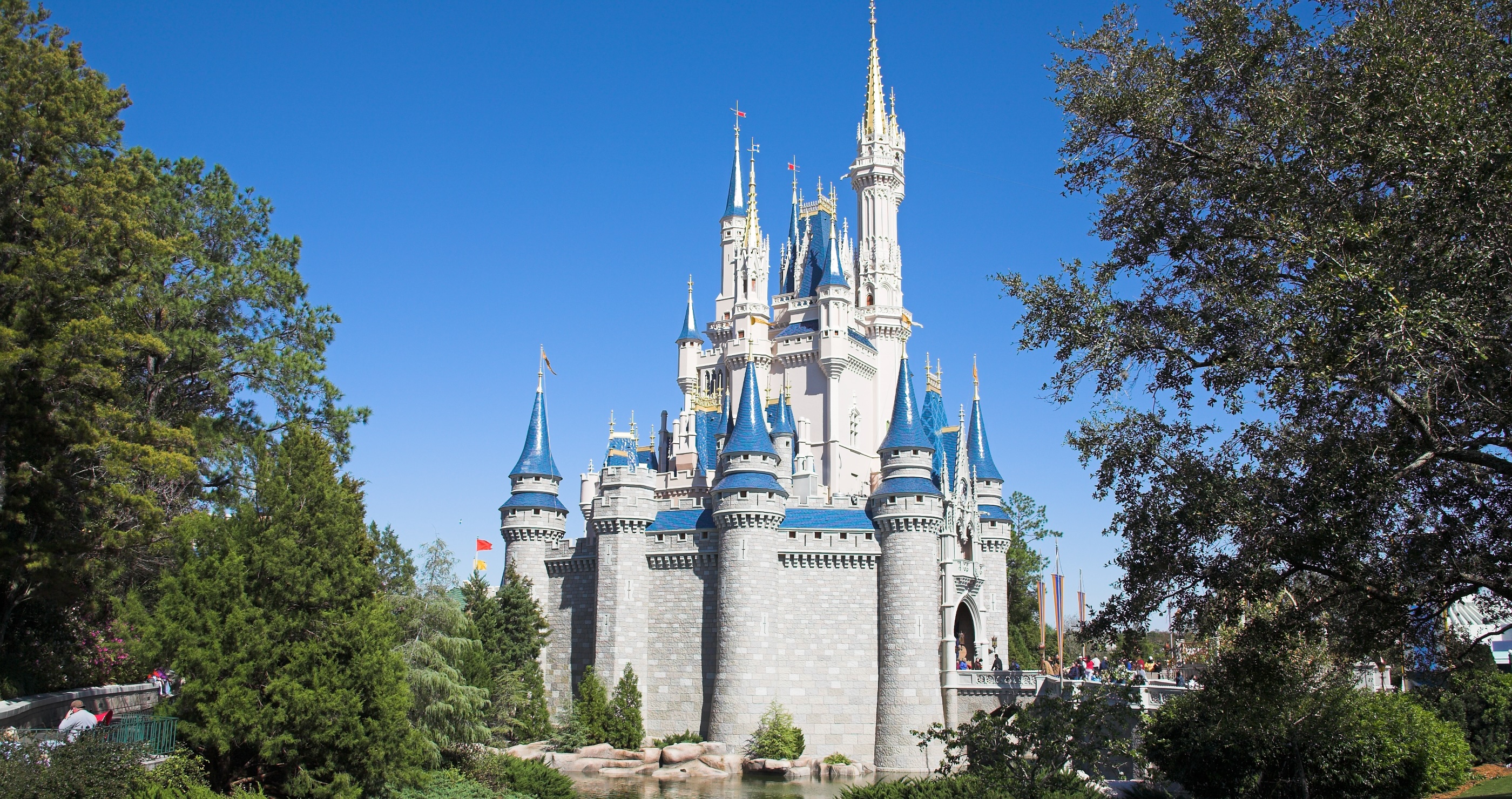 Disney World Is Now Dealing With An Endangered Missing Person Case