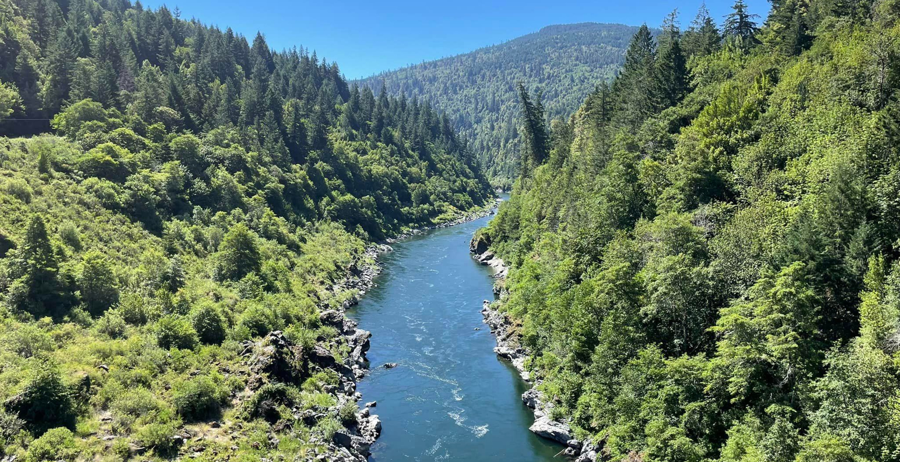 Mom Found Dead After Falling into River in National Forest