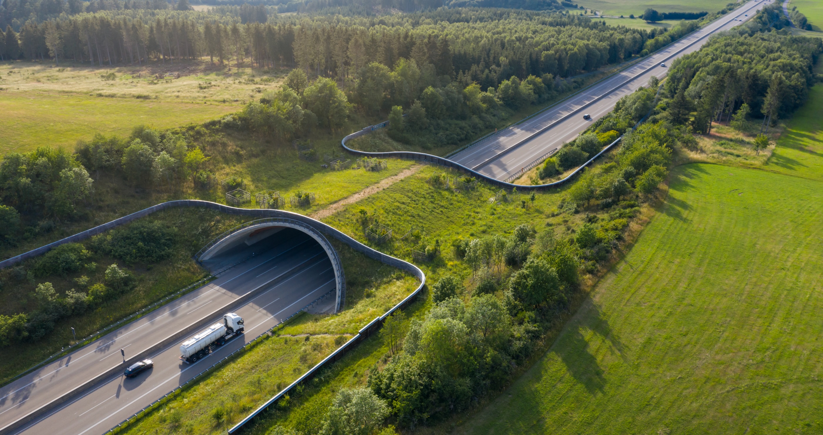 Virginia Takes A Massive Step Towards Protecting Wildlife And Drivers
