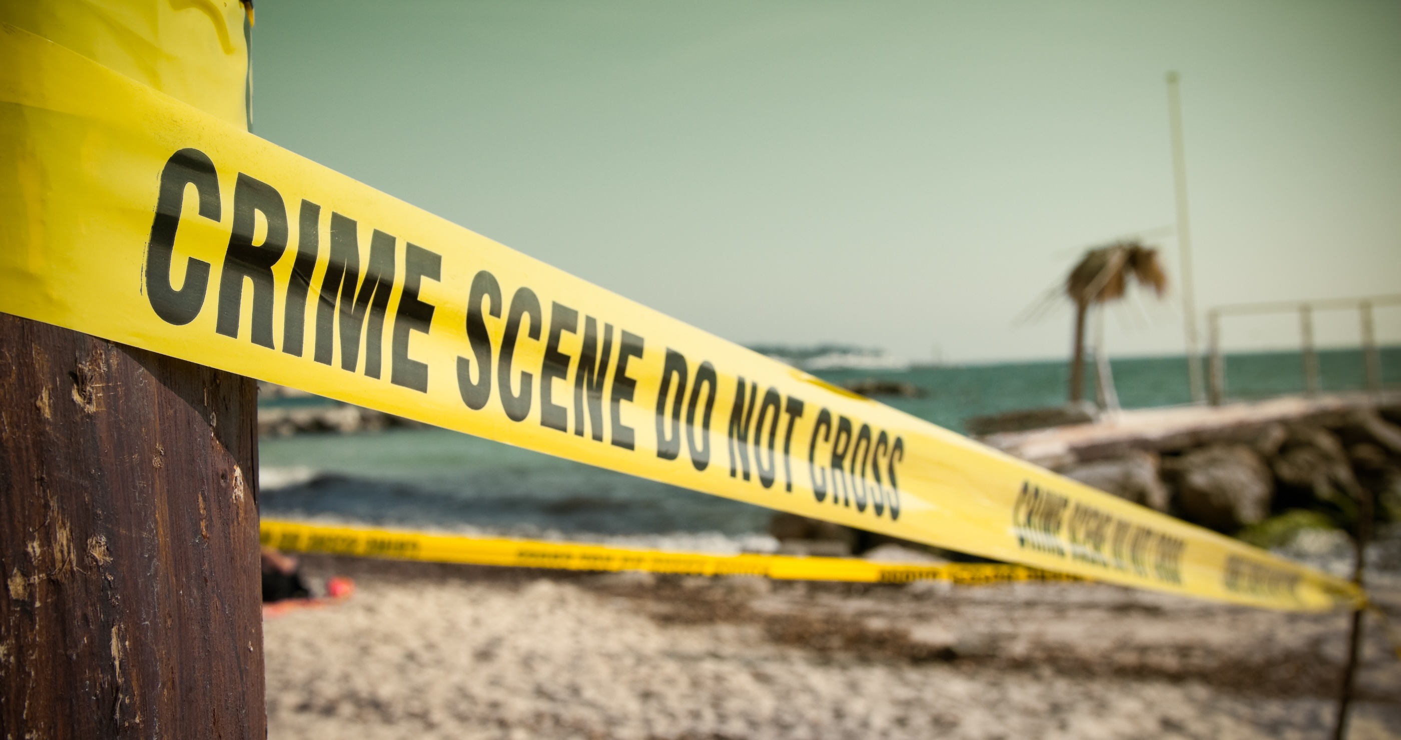 Disturbing Case Leaves Police Rattled After Several Dead Canines Wash Up On Shore