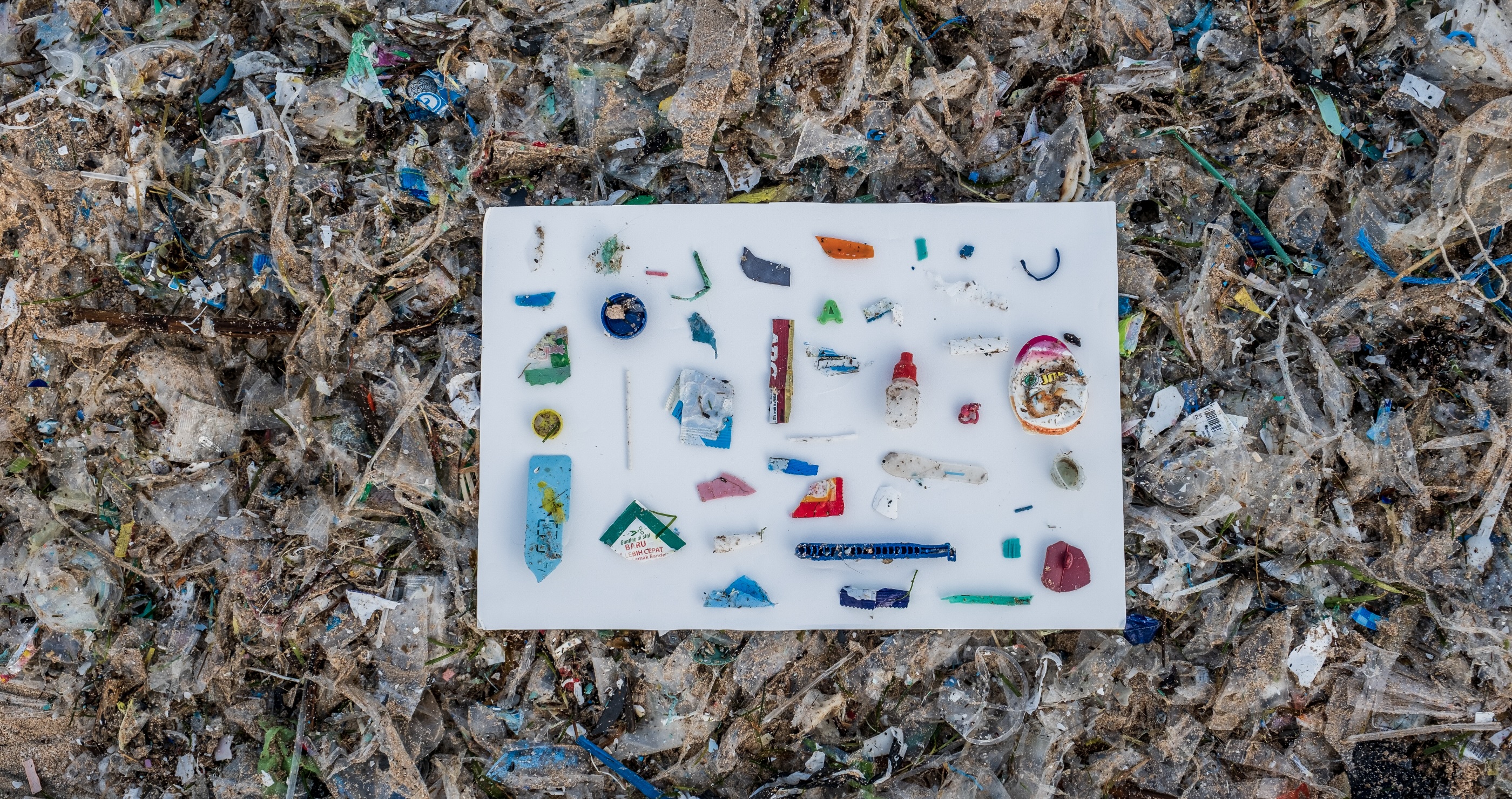 It Turns Out The Great Pacific Garbage Patch Is Now Home To Dozens Of Species 