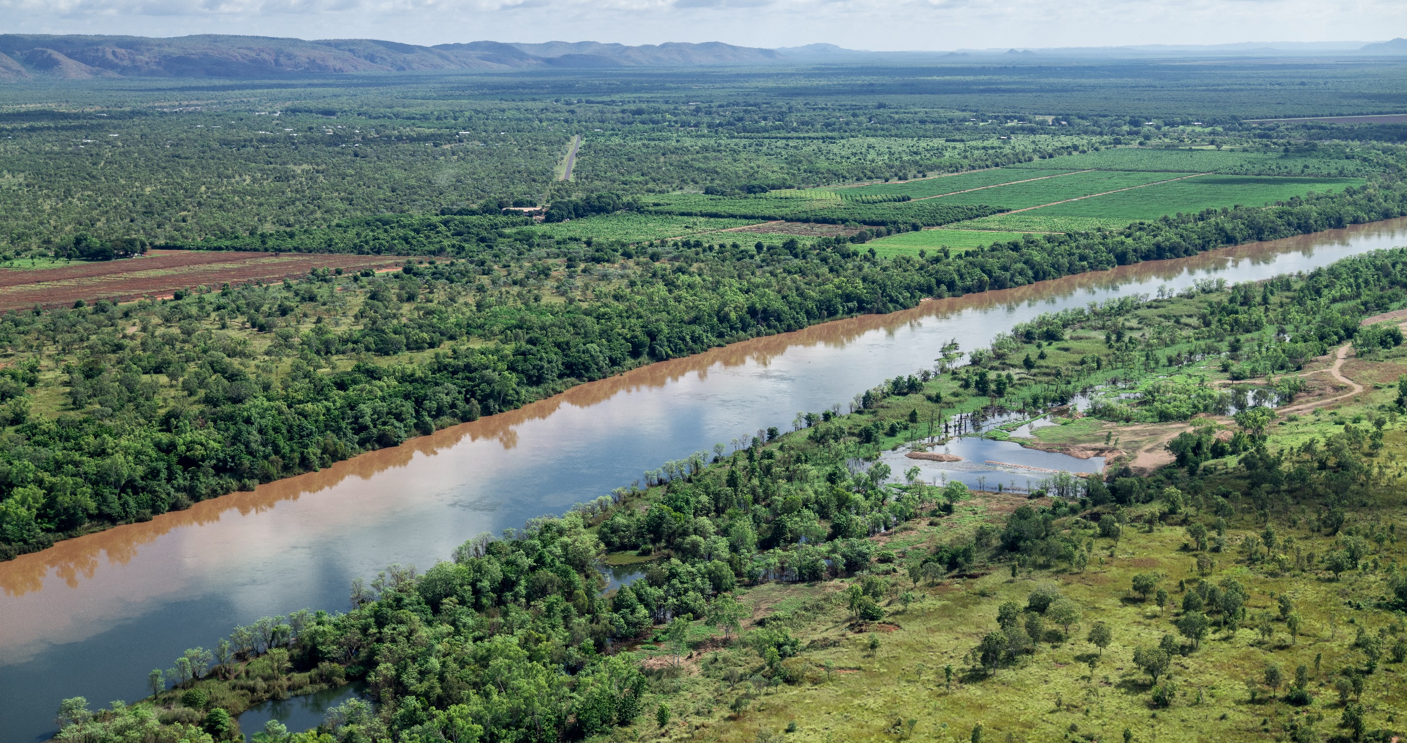 Ord River in Australia marathon swimmer tries to break world record by swimming in its crocodile infested waters