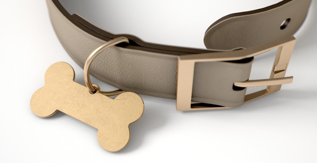 TV Star Opens Up About Losing His 15-Year-Old Dog: "No Good Way It Happens"
